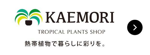 KAEMORI公式サイトへ遷移する